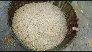 puffed rice machine , murmura making machine ,muri bhaja machine , fully automatic muri machine