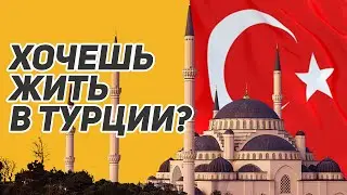 Жизнь, работа и недвижимость в Турции. Компания Real East номер один в Стамбуле.