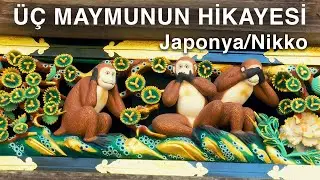 Üç Maymunun Gerçek Hikayesi Ne? Görmedim, Duymadım, Bilmiyorum-Ayhan Kalyan'la Yollarda (2019)