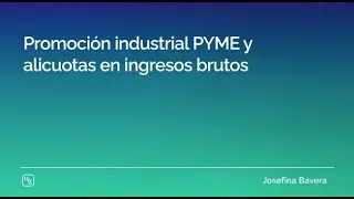 Promoci&oacute;n industrial PYME y alicuotas en ingresos brutos