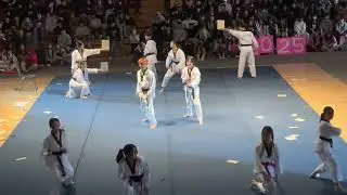 Taekwondo Club Performs At Last Rally