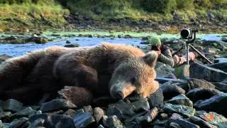 David Bittner & the Bears - Sony Alpha Cameras promo