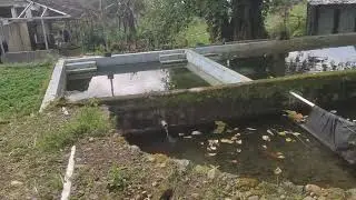 PETIRTAN CANDI DI KLAIM PENINGGALAN WALI