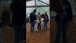 Therapeutic Riding Program at Inspiration Ranch