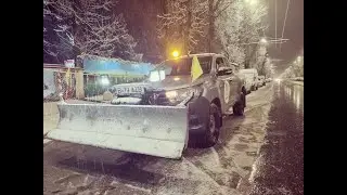 Deszapezire Sector 4 Totul Verde