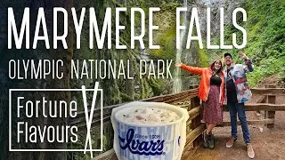 Pacific Northwest Road Trip Day 7: Marymere Falls