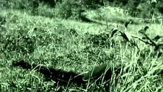 Men of War: Red Tide Intro