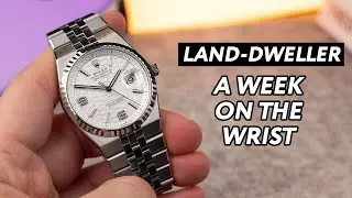 Rolex Land-Dweller 36mm - hands on review