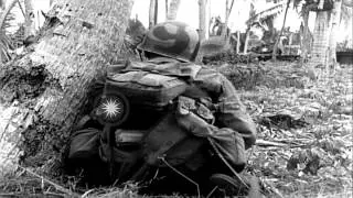 81st Division, 323 Infantry Regiment troops on LVT land ashore and cautiously adv...HD Stock Footage