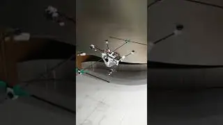 Flying squirrel drone on the lane