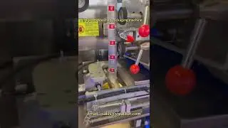 Australia pyramid tea bag packaging machine delivery
