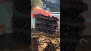 The iconic Brooklyn Blackout Cake 🍫 #cake #chocolate #dessert