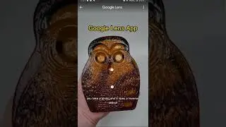 Thrifting a glass owl