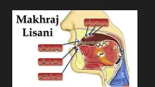LISAANI MAKHARIJ | Makharij e Muhaqaqah \ Part 2 \ Tajweed Course \ Qari Muhammad Saqib