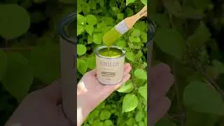 Gorgeous Green Furniture Paint