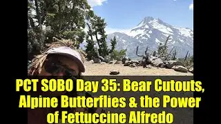 PCT SOBO Day 35: Bear Cutouts, Alpine Butterflies & the Power of Fettuccine Alfredo