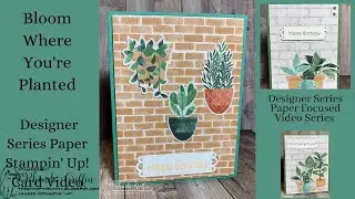 Stampin' Up! Bloom Where You're Planted Designer Series Paper Focus Video