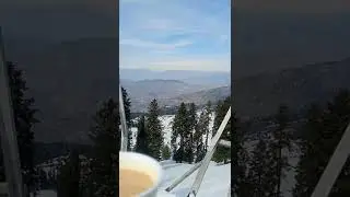 Tea and Hike #hiking #shorts