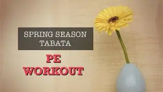 PhysEdZone: &ldquo;Spring Season Tabata&rdquo; PE Workout | Brain Break