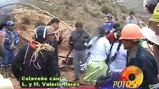 Colabeño Cani