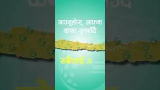 Nepal&rsquo;s Digital Platform for Verified News & Authentic Stories | Global Diary
