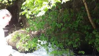 Banias water falls in Golan heights