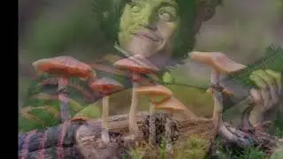 Alien Fungus Renaissance