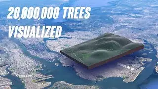 VFX artist shows how big are 20,000,000 trees
