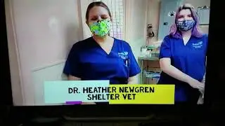 clinic Heather Brea Chelsey
