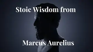Marcus Aurelius on Control & Acceptance | Stoic Wisdom for Sleep