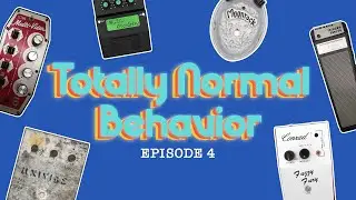 «Totally Normal Behavior» (Эпизод 4) с ранним выпуском Death by Audio и Conn Multi-Vider