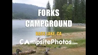 Forks Campground - Bass Lake, CA