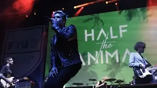 Half the Animal - Summertime High (Live in Oregon)