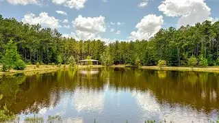 60 Acres | 1682 FM 980 | Walker County, Texas
