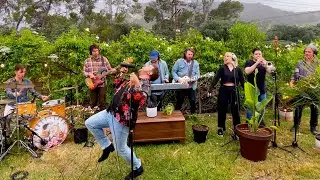 Wolf and Love - Silverspoon (NPR Tiny Desk Contest 2021)