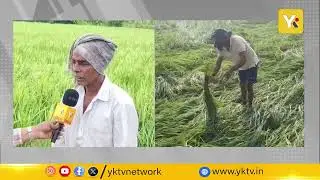 మొంథా తుఫాన్&zwnj;తో కాకినాడ జిల్లా రైతుల కన్నీటి గాధ | Kakinada Cyclone Montha Effect | YK TV