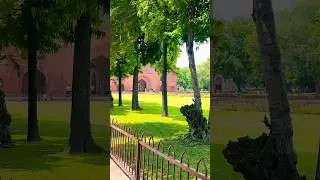 The Red Fort's Hidden Secret:A Tunnel to the Unknown! #forgottenknowledge #historyuncovered #redfort