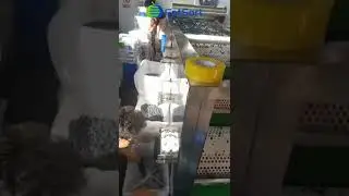 Blueberry processing sorting machine price black currant cost of grading machine for farming