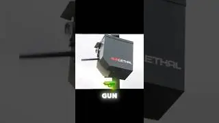 home protection in south Africa remote Gun