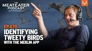 Identifying Birds with the Merlin App | The MeatEater Podcast