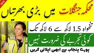 Forest Department Jobs 2025 | Latest Govt Jobs Pakistan | Apply Now 🌲 | Forest Guard & Clerk