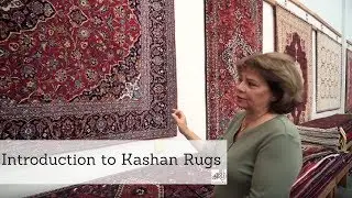 Introduction to Kashan Rugs by Catalina Rug