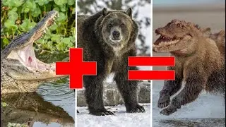 Creating Powerful Animal Hybrids