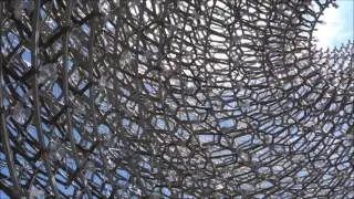 The Hive -- Kew Gardens, June 2016