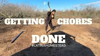 Back to Homesteading Chores After the Winter Break