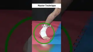 Form 1 Master Technique #4
