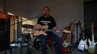 Vig Custom Tele P90s