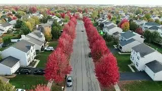 Fall 2025 in Plainfield Illinois