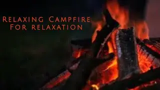 A gentle campfire for relaxation #lifestyle #sleep 
