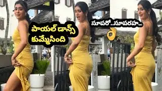Actress Payal Rajput Dance For Saami Saami Song | Payal Rajput Latest Videos | HB Talks